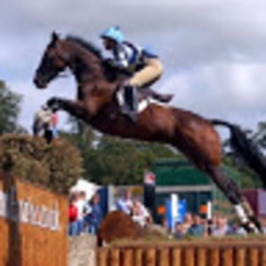 Meet your Posher, Paul